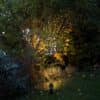 Reflektory Prit TO 3446 8