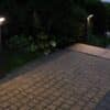 Lampy stojące – inni producenci Neo 11702-600 DG 13